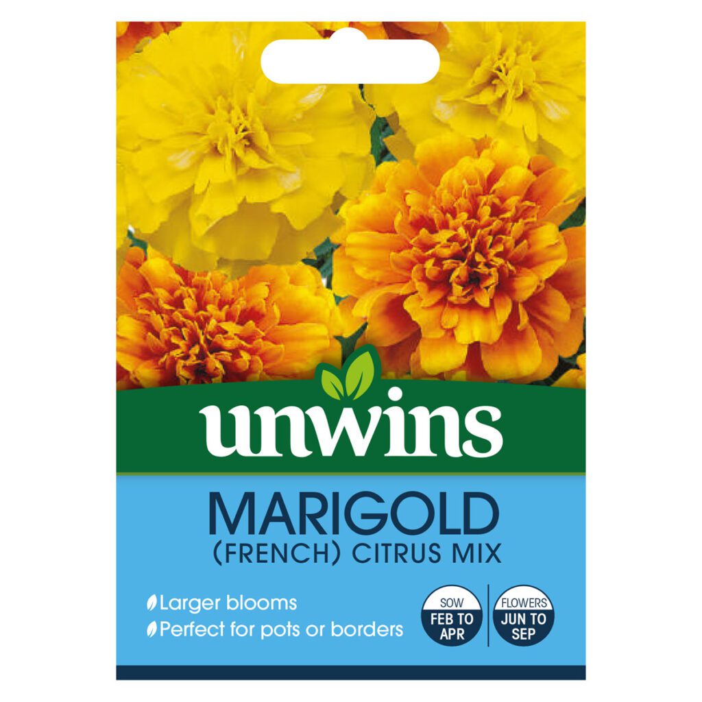 Unwins French Marigold Citrus Mix Seeds 5051618027779 2